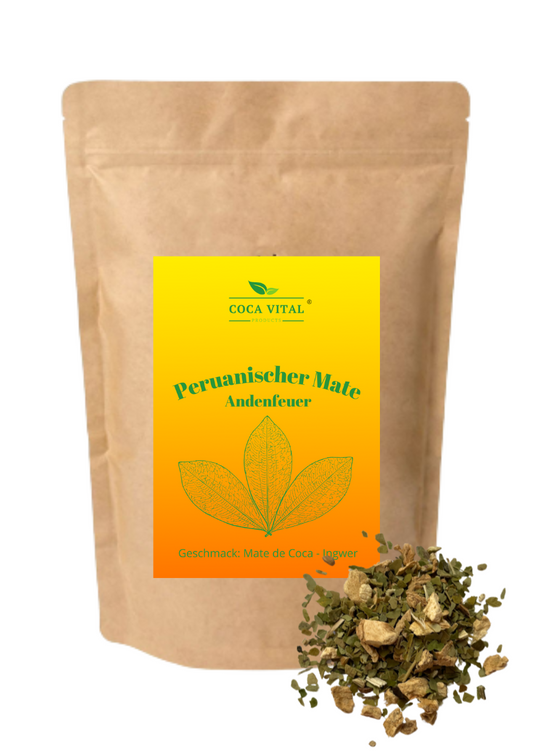 Andenfeuer (Mate de Coca + Ingwer)
