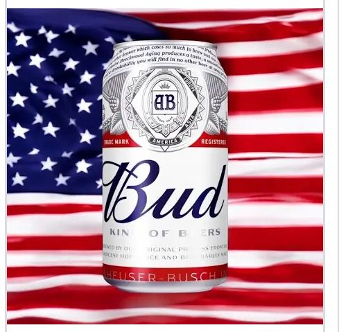 BUD Dose - 355ml - USA Import