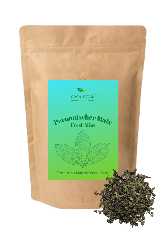 Fresh Mint (Mate de Coca + Minze)