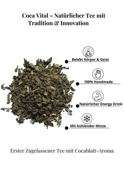 Fresh Mint (Mate de Coca + Minze)